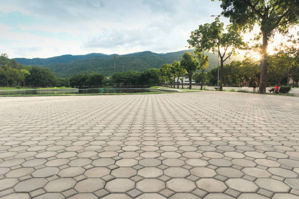 Best Concrete Paver Driveway  in Gorman, TX